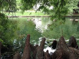 Lakefront Homes for sale in Oakland County Michigan September 2014