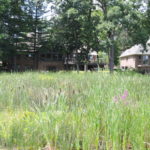 Lotus Lake properties Waterford MI