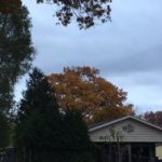 November Weather in Detroit MI