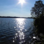 Waterfront homes on Loon Lake in Oakland County