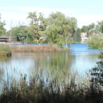 Waterfront homes on Forest Lake Bloomfield