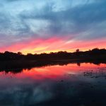 duck-lake-sunset2